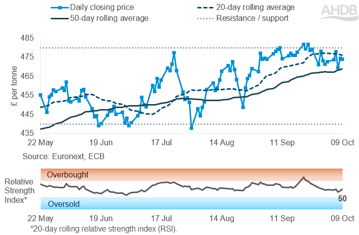 Line graph of Paris rapeseed futures May-27 contract prices in £/t over the past six months.